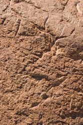 Similar image 241860