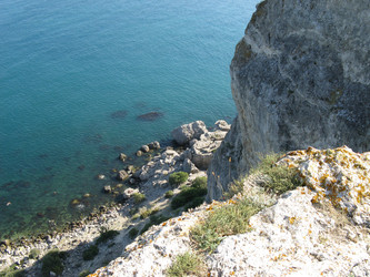 Similar image 241861