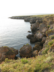 Similar image 241864