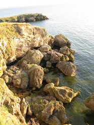 Similar image 241865