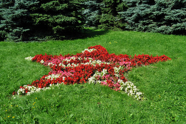 Similar image 241883