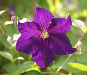 Similar image 241895