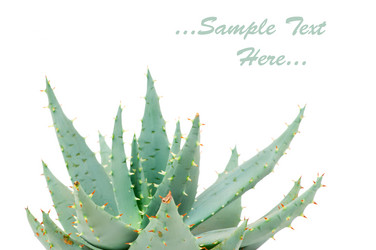 Similar image 241898