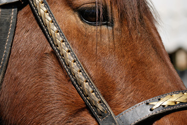 Similar image 241903