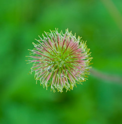 Similar image 241906