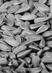 Similar image 241908