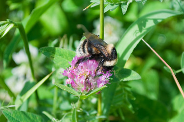 Similar image 241925