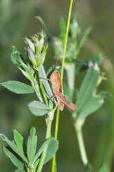 Similar image 241928