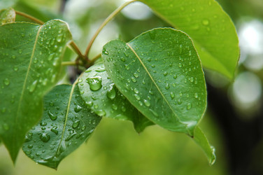 Similar image 241931