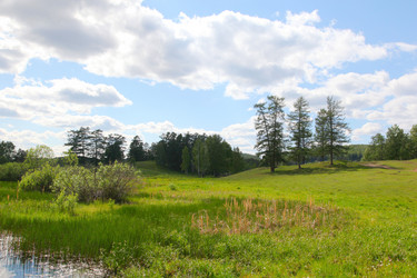 Similar image 241938