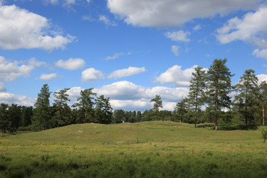 Similar image 241939