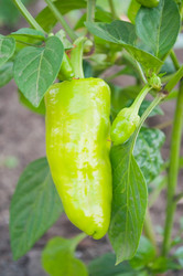 Similar image 241942