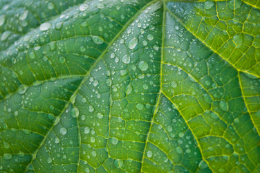 Similar image 241944