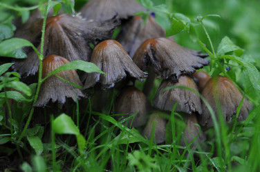 Similar image 241947