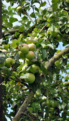 Similar image 241949