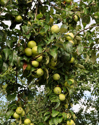 Similar image 241950