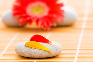 Similar image 241995