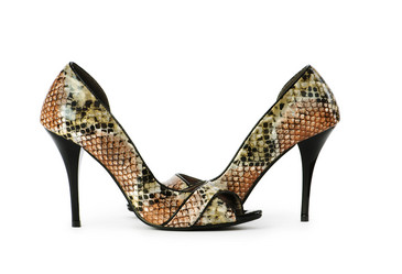 Similar image 242004