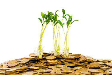 Similar image 242031