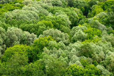 Similar image 242046