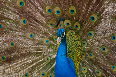 Similar image 242081