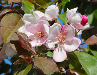 Similar image 242088