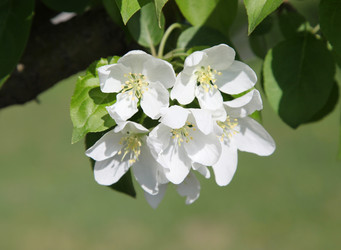 Similar image 242089