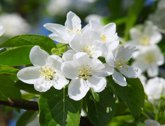 Similar image 242090