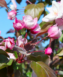 Similar image 242091