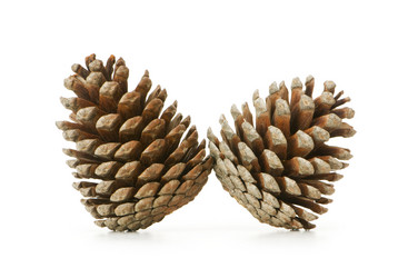 Similar image 242104