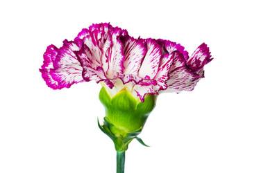 Similar image 242106