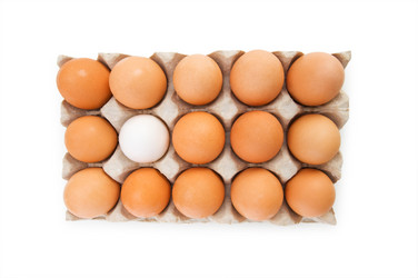 Similar image 242108