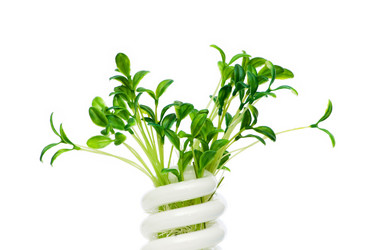 Similar image 242122