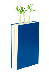 Similar image 242134