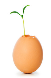 Similar image 242138