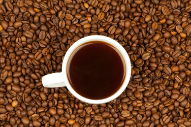 Similar image 242209