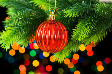 Similar image 242211