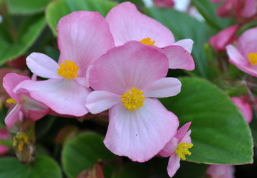 Similar image 242216