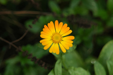 Similar image 242217