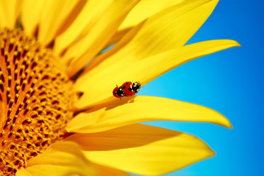 Similar image 242219