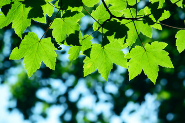 Similar image 242228