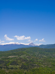 Similar image 242240