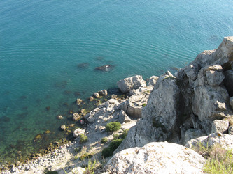 Similar image 242263