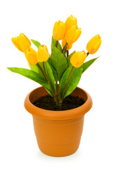 Similar image 242264