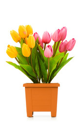 Similar image 242267