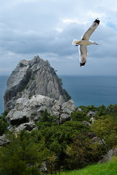 Similar image 242277