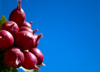 Similar image 242297