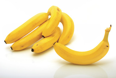 Similar image 242301