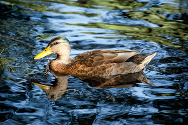 Similar image 242308