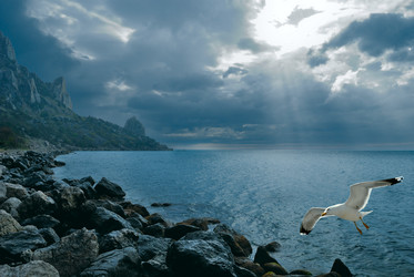 Similar image 242332